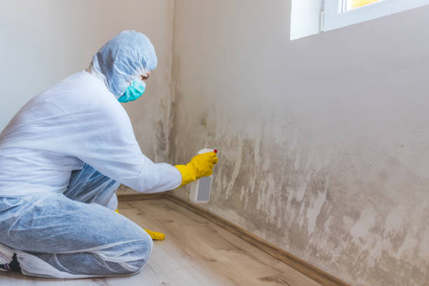 Licensed Crawl Space Mold Removal service in Bedford, VA - WQB Mold Removal