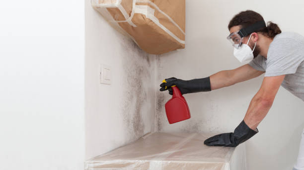 Professional Crawl Space Mold Removal technician working in Bedford, VA