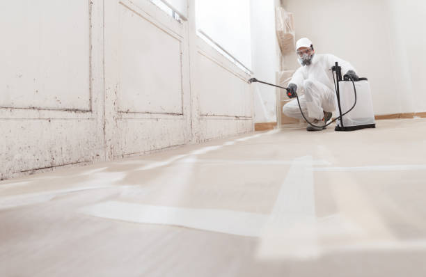 24/7 Emergency Crawl Space Mold Removal experts in Bedford, VA