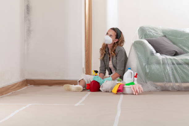 Reliable Crawl Space Mold Removal contractor in Bedford, VA by WQB Mold Removal