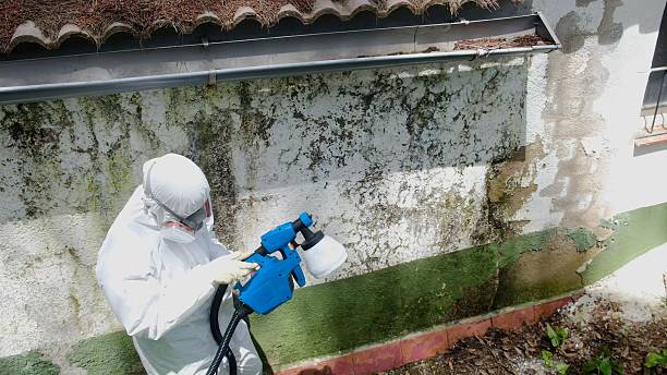Top rated local Crawl Space Mold Removal specialists in Bedford, VA